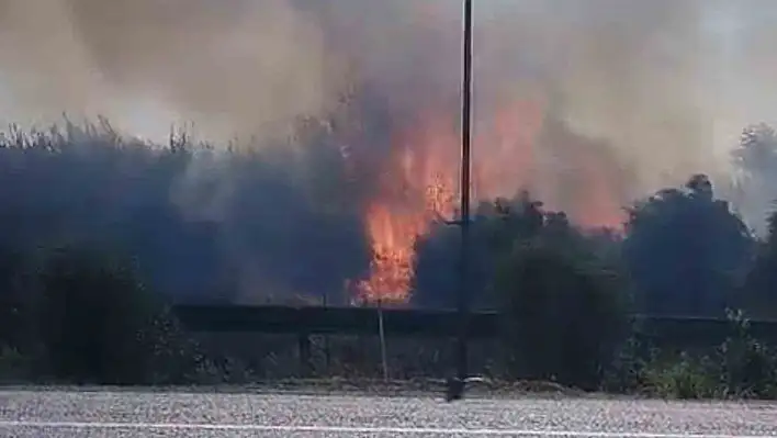 Adana'da sazlıkta çıkan büyümeden söndürüldü!