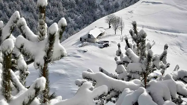 Zigana Dağı beyaza büründü