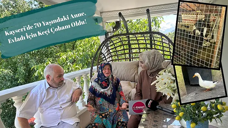 Kayseri'de 70 Yaşındaki Anne, Evladı İçin Keçi Çobanı Oldu!
