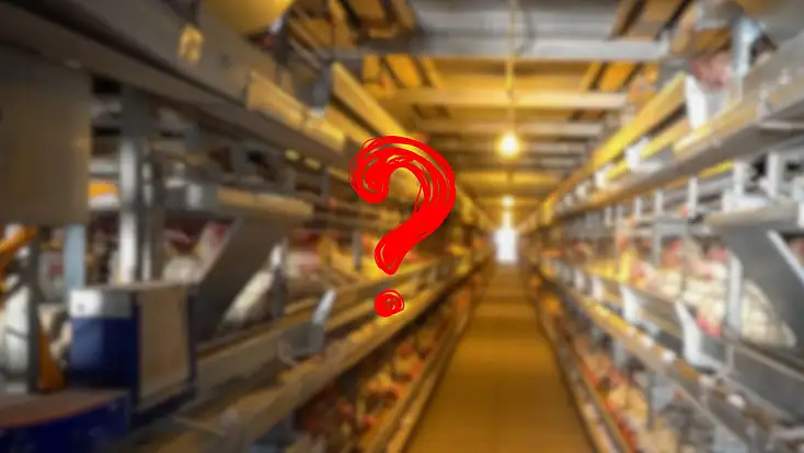 Kayseri’de de balon patladı: Tanesi 4,35 TL’den 3,85 TL’ye düştü!