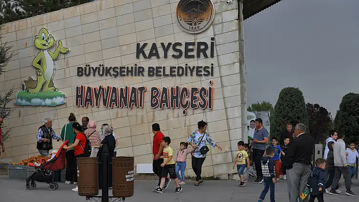 Kayseri'de deve kuşları 10 yıl sonra yeniden yumurtladı!