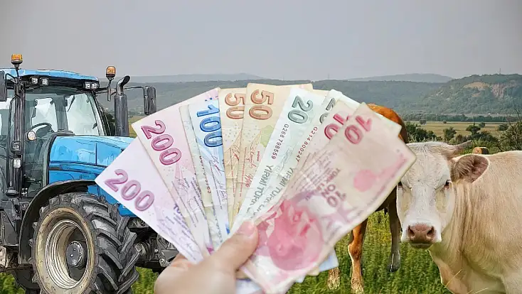 Kayseri’de hibe listesi açıklandı! İsmi olanlar dikkat: Yapmayan hakkını kaybedecek