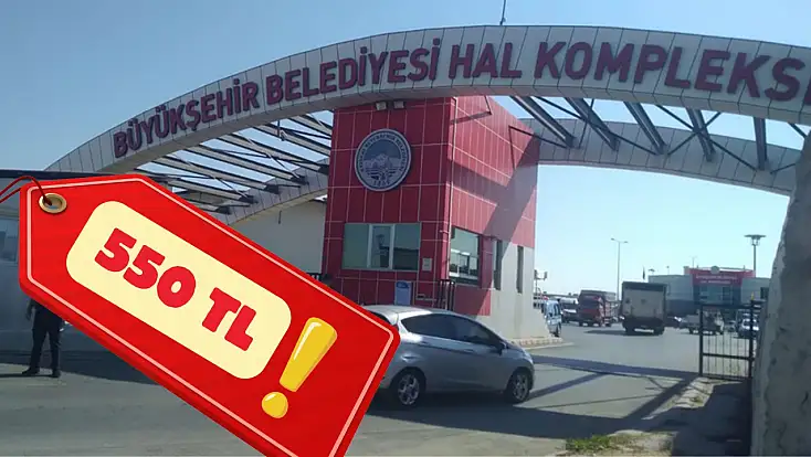 Kayseri'de sonbahar meyveleri tezgahlarda! Kilosu 550 liraya çıktı