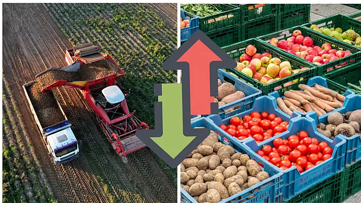 Kayseri’de tarla ile market arasında dikkat çeken fark: Fiyat üç katına çıkıyor!
