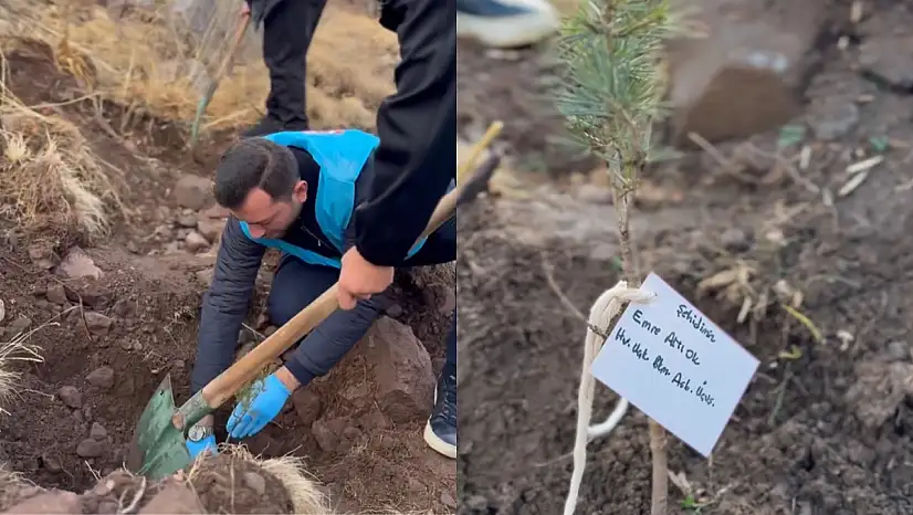 21 şehidimiz anısına 21 fidan toprakla buluşturuldu: Vekil Özsoy'dan teşekkür mesajı...
