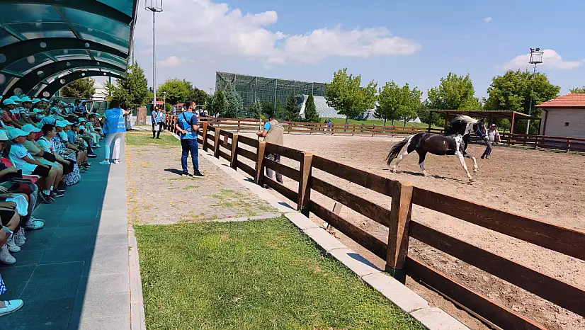 Hayvanat Bahçesi kapılarını ücretsiz açtı