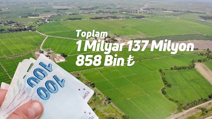 Hesaplara bugün aktarılacak: 7 farklı başlıkta destek ödemesi!