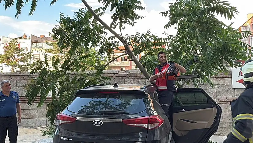 Kayseri'de ağaç aracın üzerine devrildi