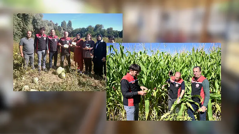 Kayseri'de denetimler sürüyor: İl Müdürü Saklav sahada!