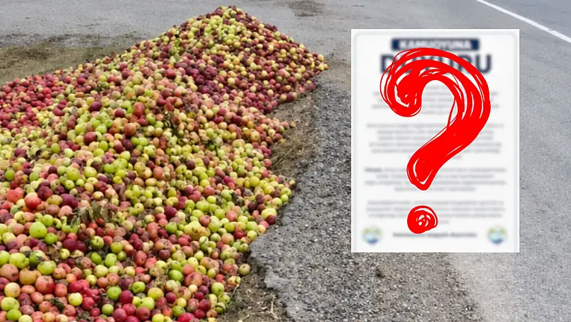 Kayseri'de elmalar ziyan mı edildi? Belediyeden iddialara yanıt