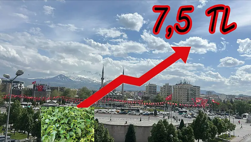 Kayseri'de Satışa Çıktı - Adet Fiyatı 7,5 TL Oldu!