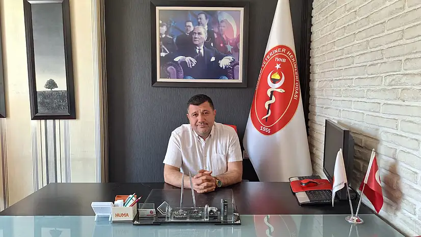 Kayseri'de sokak hayvanları için eski düzen bitti, yenisi başladı!