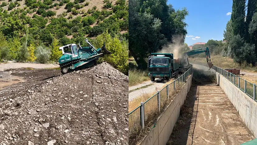 Kayseri'de yeşil karıncalar çalışmalara hız verdi!