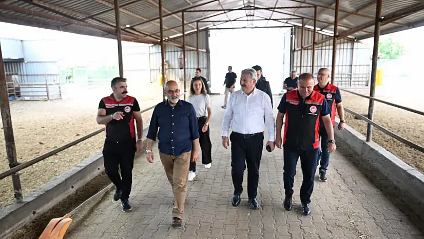 Kayseri'nin kalitesini konuşturacağı alan: Manda ürünleri üretiminde sevindiren gelişme!