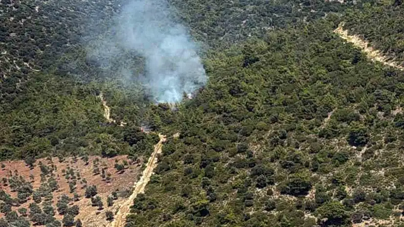 Makilik alanda yangın çıktı