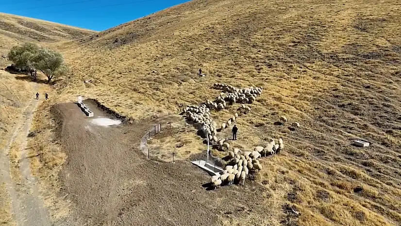 Niğde'de meralarında önemli kazanım!