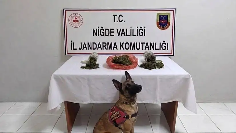 Niğde'de Jandarmadan uyuşturucu operasyonu!