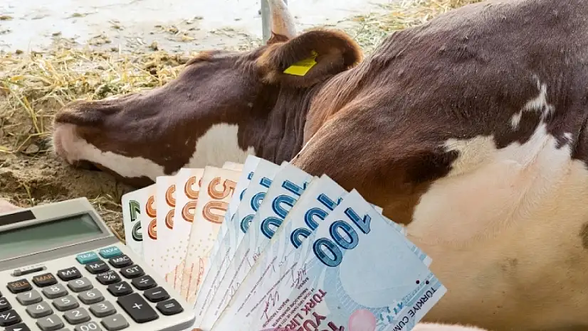 Sadece hayvanlar değil, ekonomi de hasta: Büyük zarar ortaya çıktı!