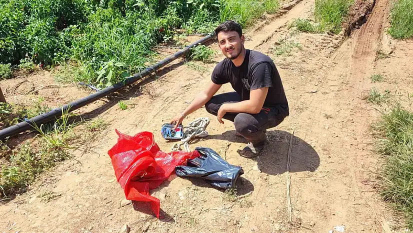 Tarladan 1 ton salçalık biber çalındı
