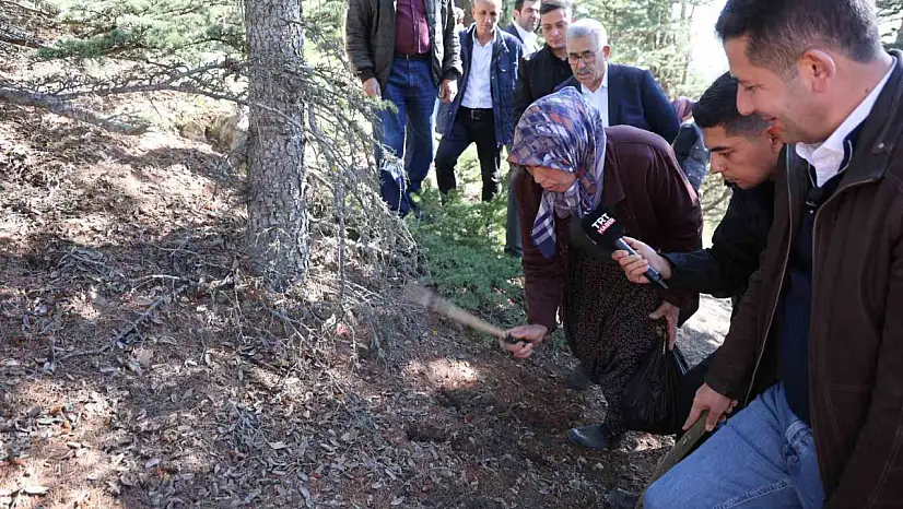 Feke'de mantar sezonu başladı, uyarılar art arda geldi
