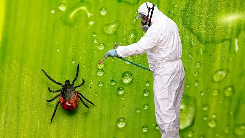 Tarım ilaçları keneyi öldürür mü, ne kadar korur? Kayserili uzman etkisini ve gerçekleri açıkladı!