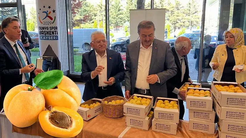 Yeşilhisar kayısısı, Başkan Büyükkılıç ve meclis üyelerinden tam not aldı!