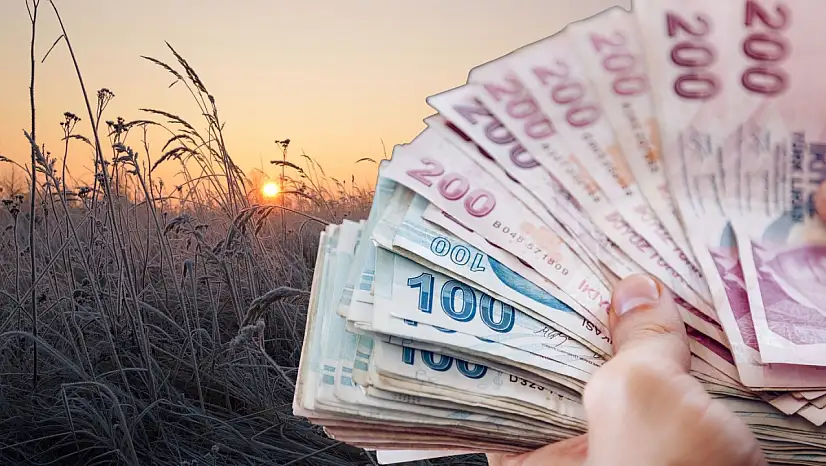 Zirai don ve dolu Kayseri'yi vurdu: Üreticiyi TARSİM ayakta tuttu