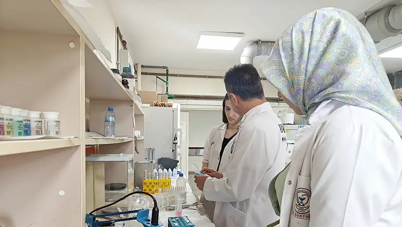 Kayseri'de geliştirildi, kene ve haşerelere bitkisel kalkan