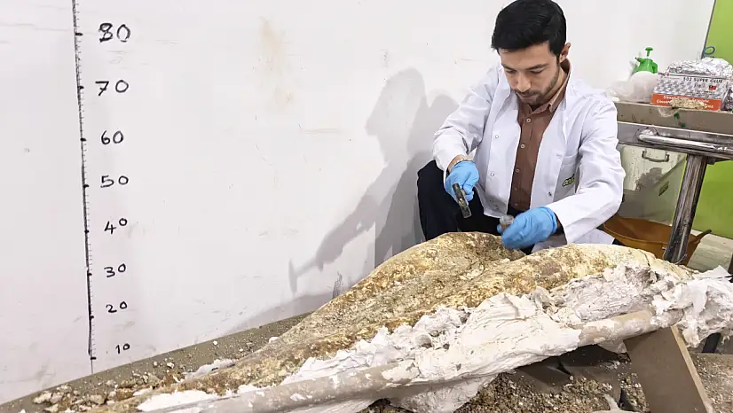 Kayseri'de yeni fosil parçaları bulundu