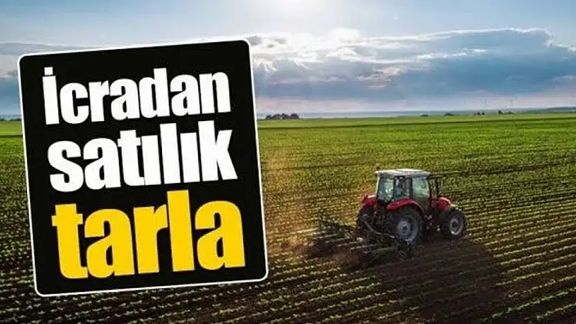 Kayseri'de 51 bin metrekarelik tarla icradan satışa çıkarıldı