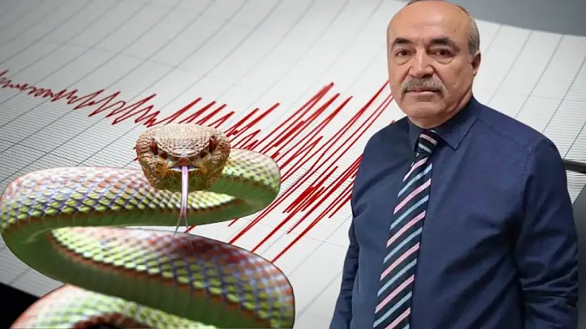 Kayseri'de yılanlar depremi mi haber veriyor? Evsen'den kritik açıklama