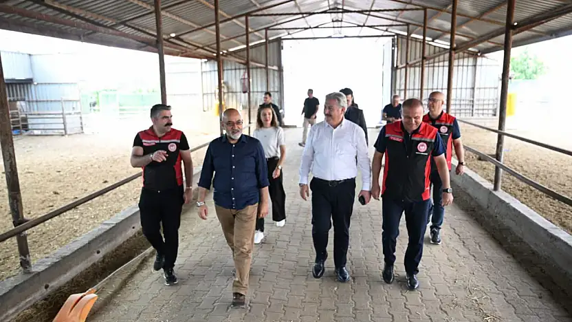 Kayseri'nin kalitesini konuşturacağı alan: Manda ürünleri üretiminde sevindiren gelişme!