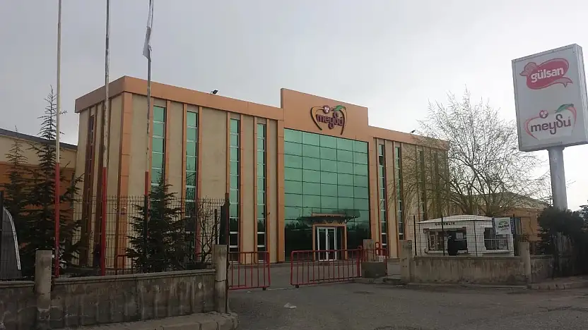 Kayserili dev şirket iç pazarı salladı!