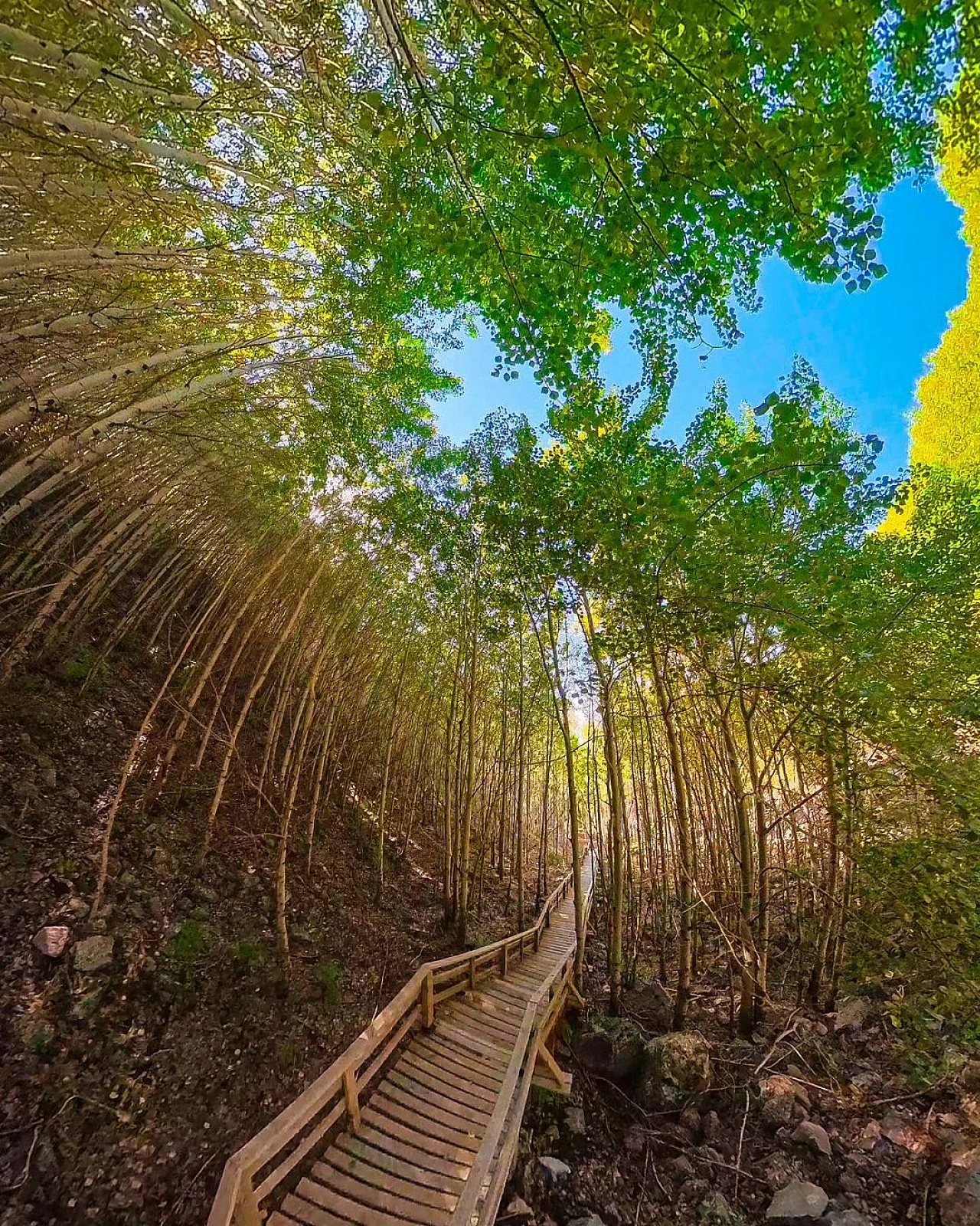 Sonbaharda bir başka güzel! Kayseri'nin göz bebeği - Mutlaka ziyaret edin...