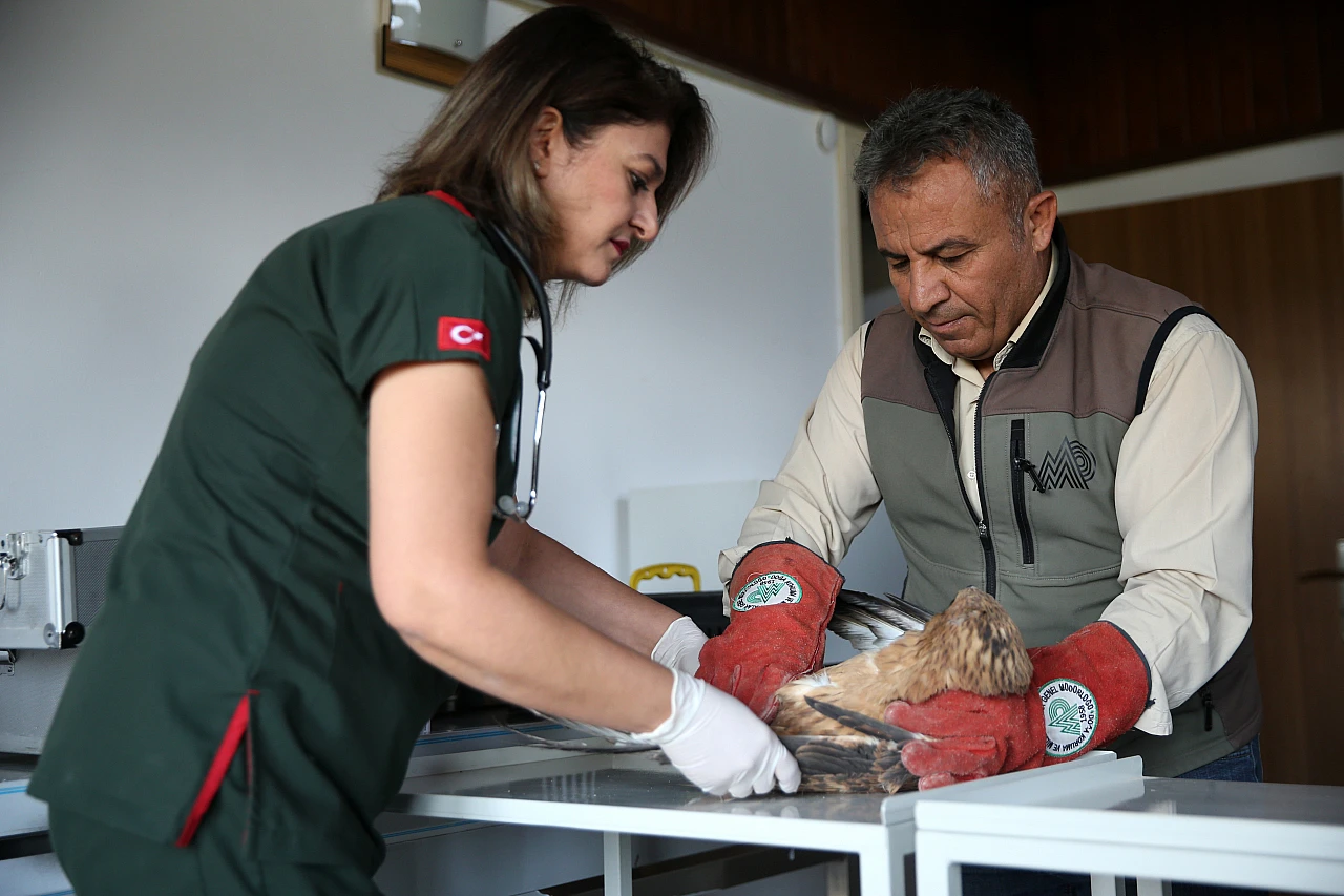 Rehabilitasyon merkezinde yaralı kuşlar tedavi ediliyor