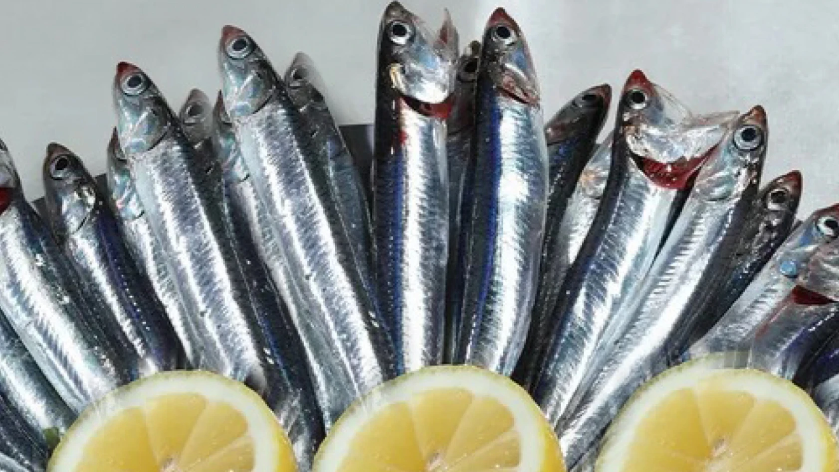 Av sezonu başladı: Vatandaş hangi balığı tüketiyor? Kayseri balık fiyatları