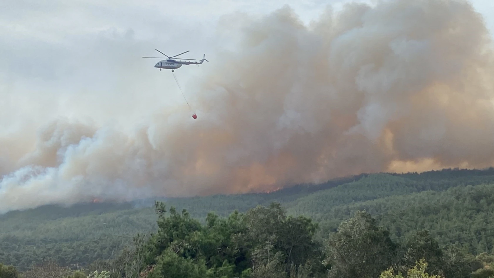 Çanakkale'de orman yangını devam ediyor