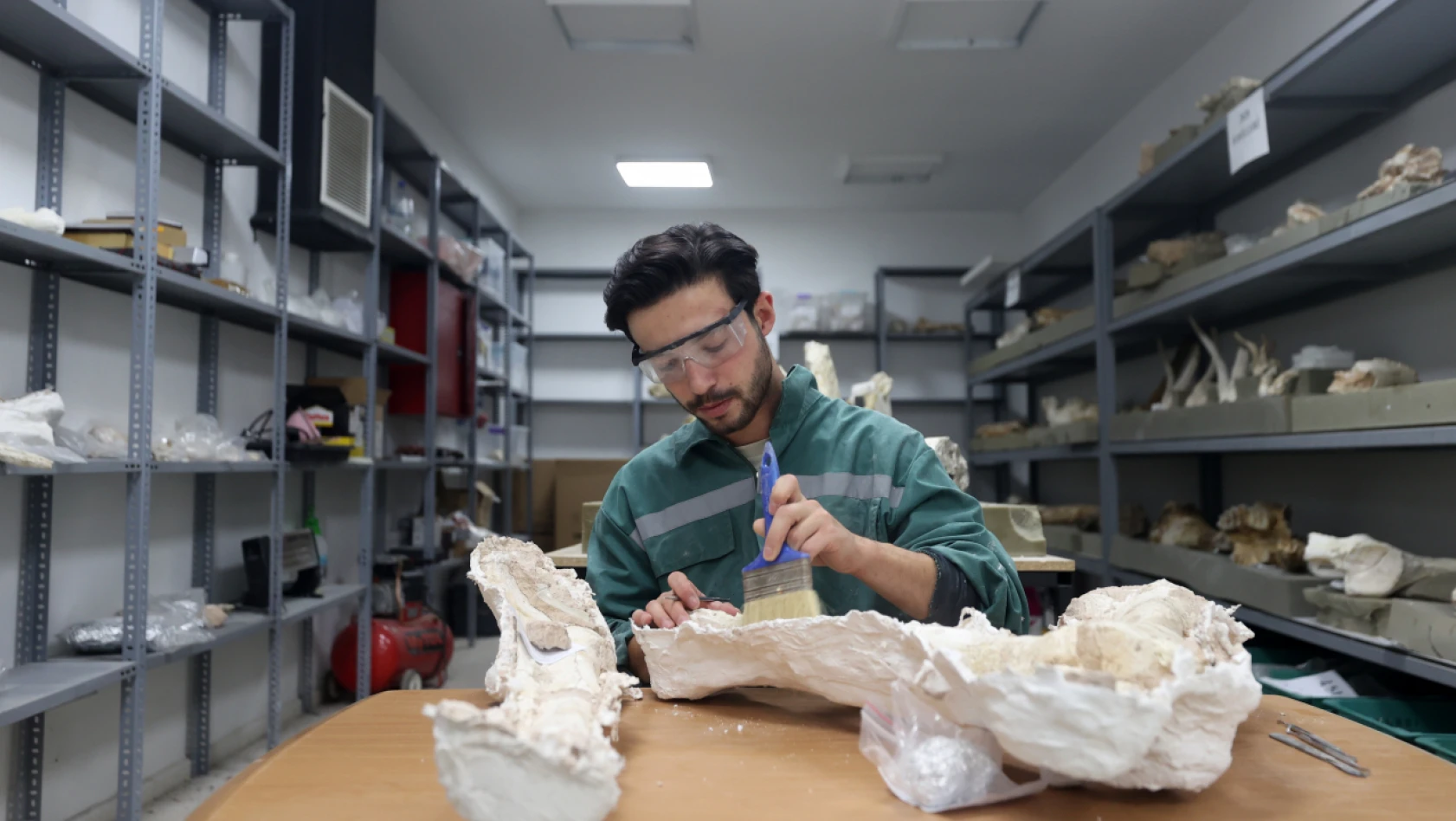 Kayseri'de 7,5 milyon yıl öncesine ait fosil bulundu