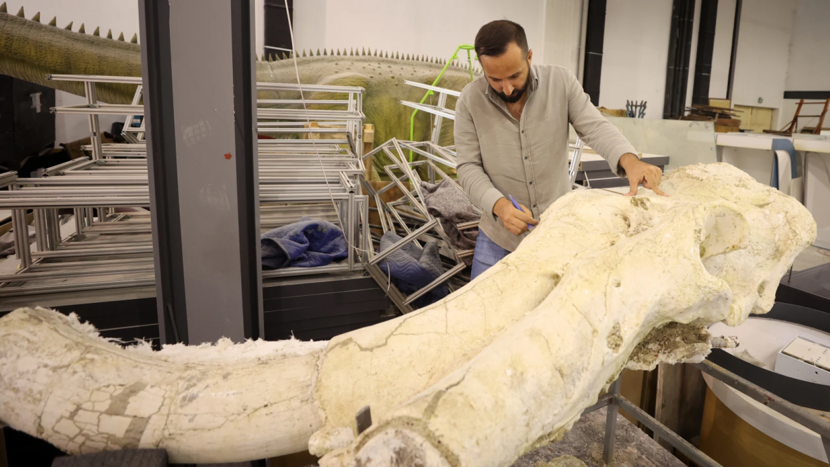 Kayseri'de 7,5 milyon yıllık hayvan fosilleri görenleri hayrete  düşürüyor
