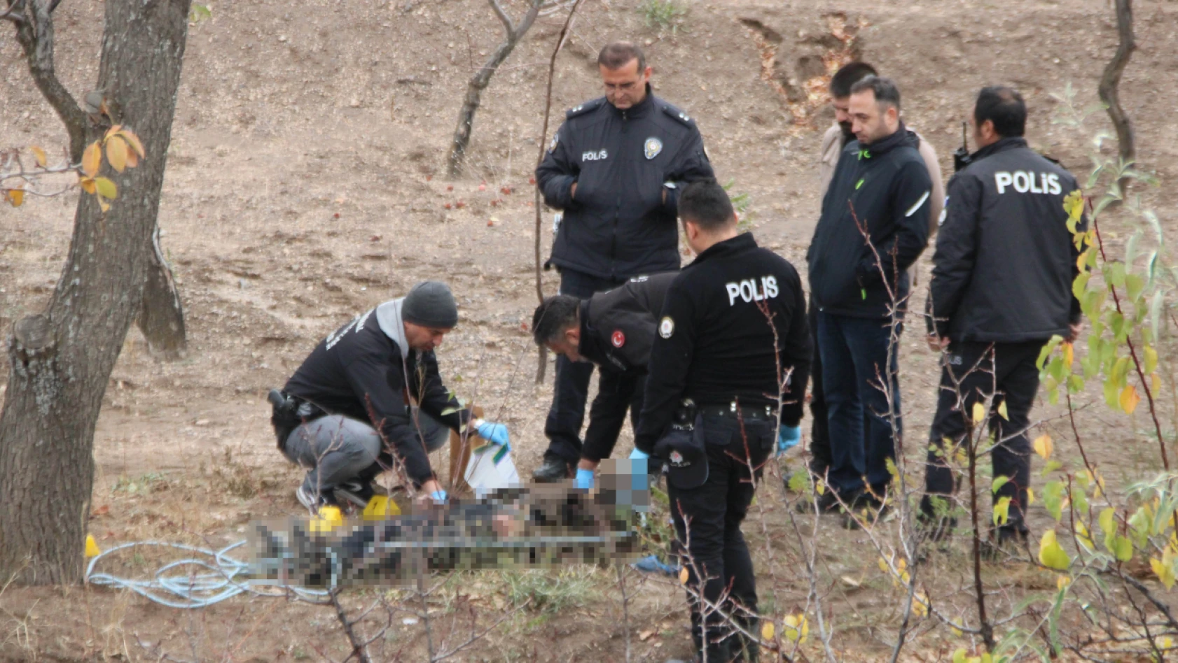 Kayseri'de şok olay! Ağaca asılı halde erkek cesedi bulundu