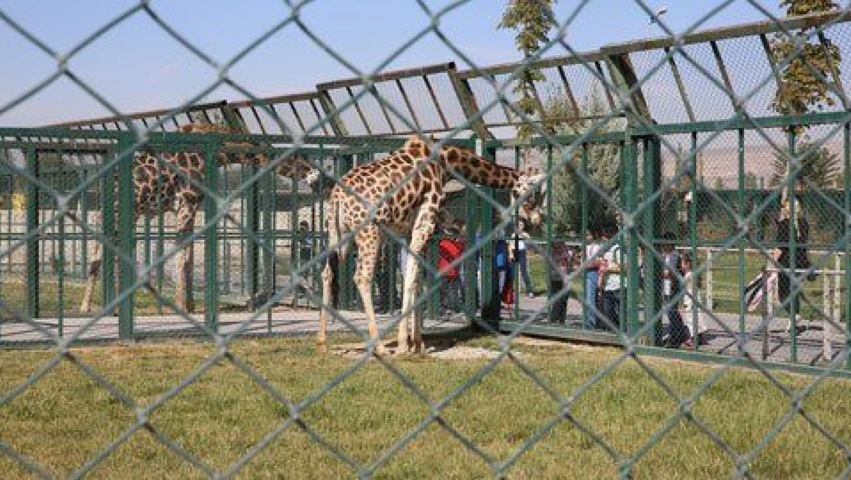 Hayvanat Bahçesi ziyarete kapatıldı