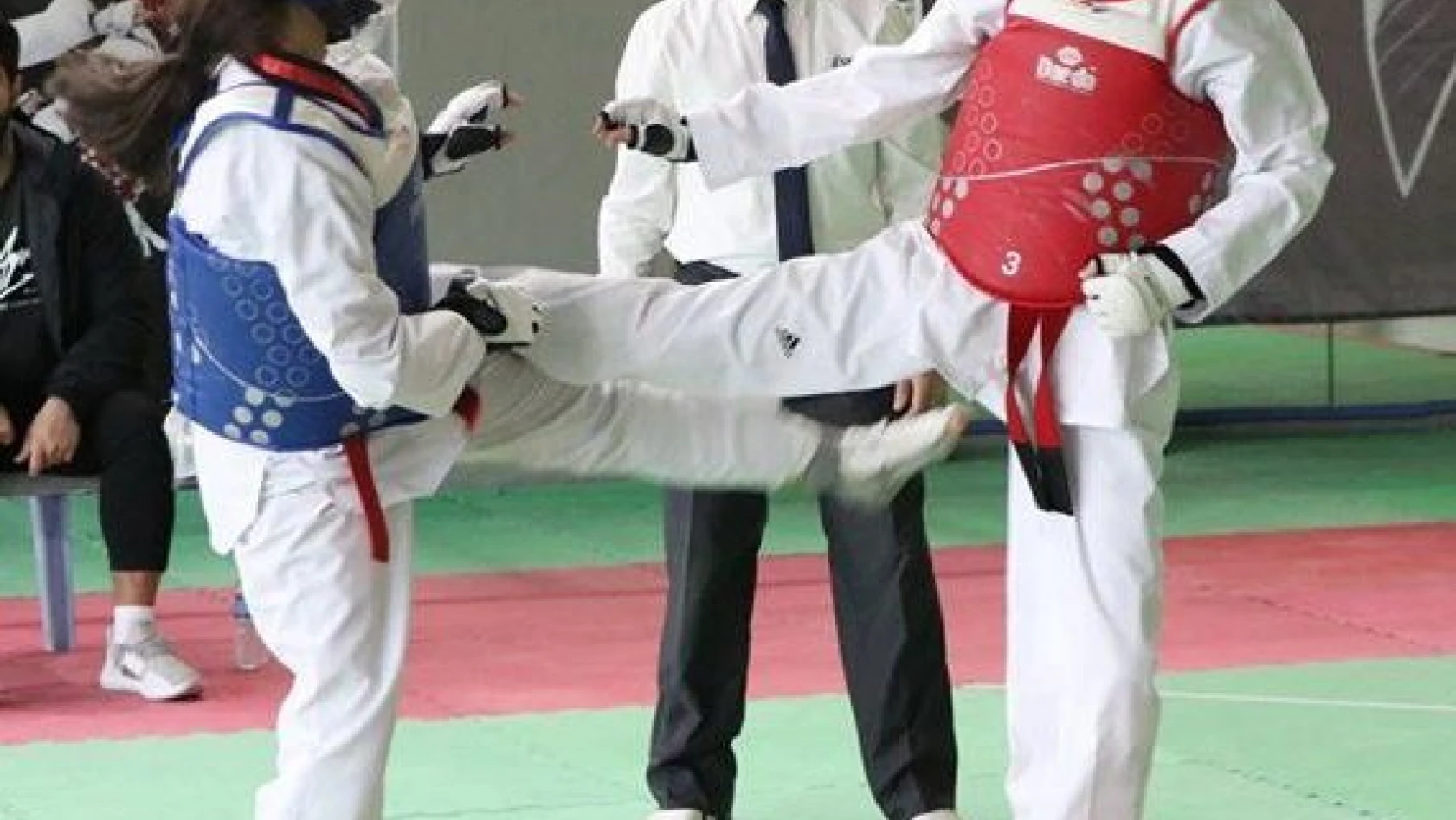 Taekwondo sporcuları ANALİG için tatamide