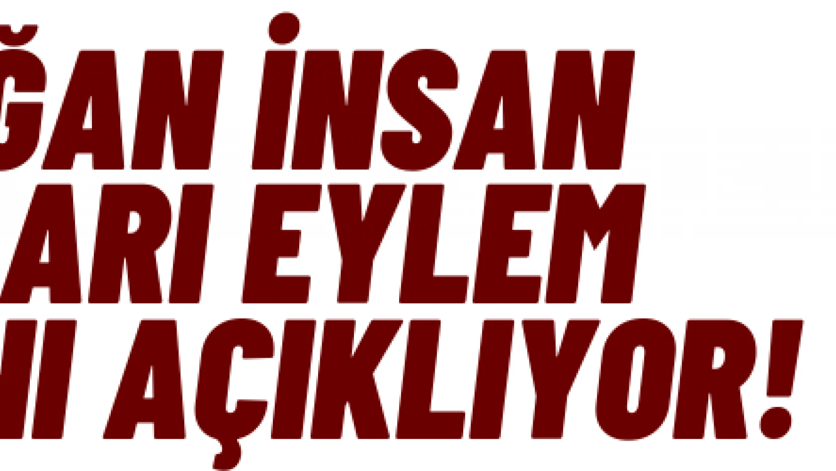 Erdoğan İnsan Hakları Eylem Planı 'nı açıklıyor!