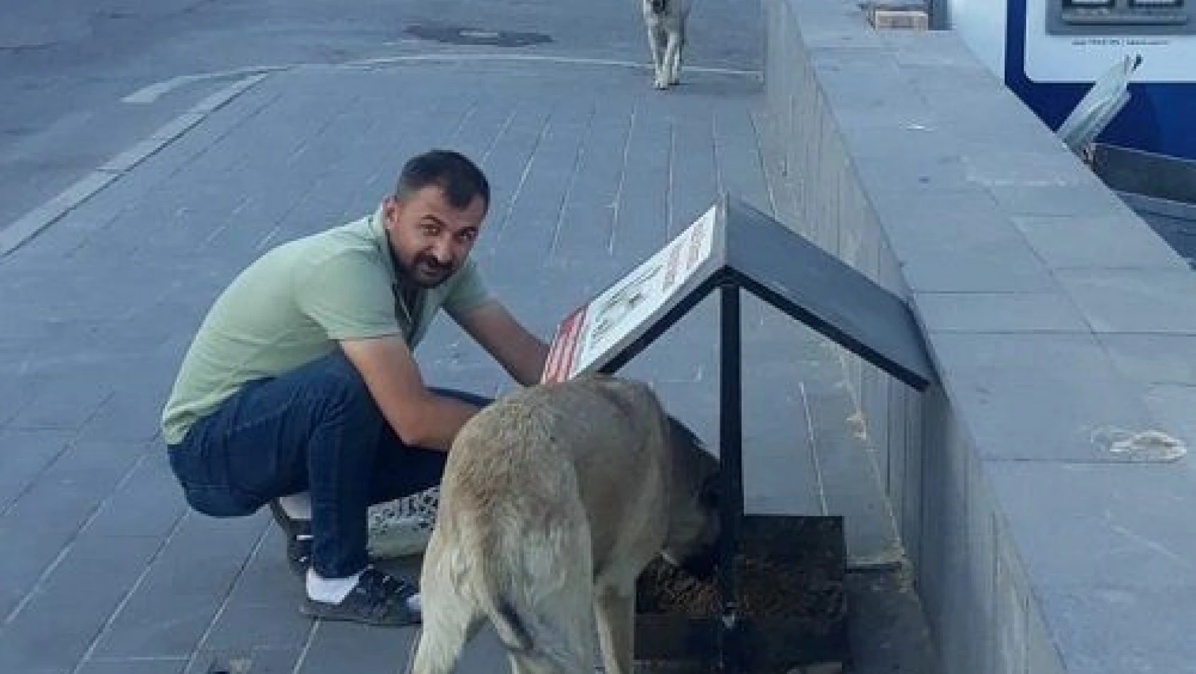 Tomarza'da sokak hayvanlarına yem bırakıldı