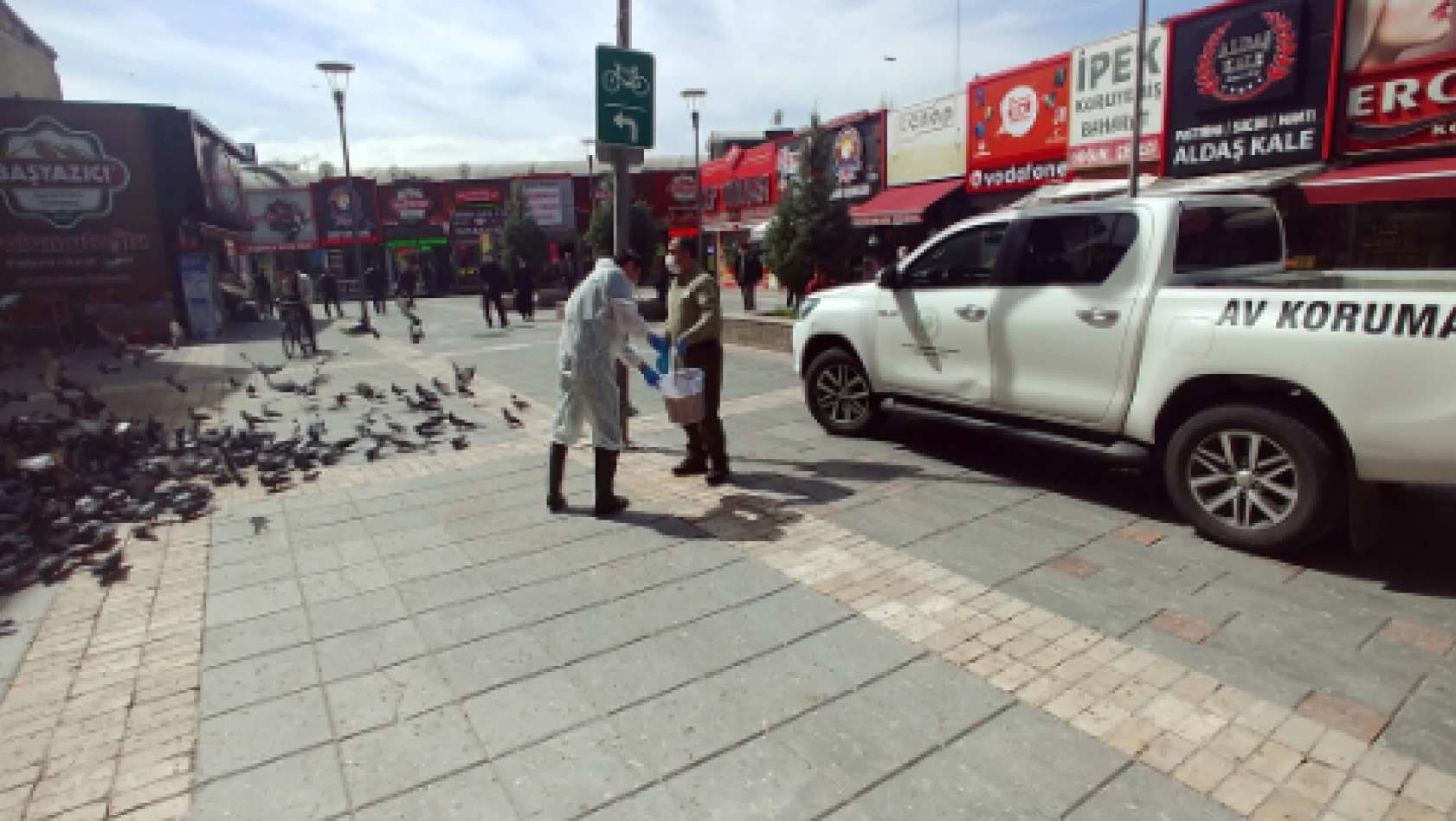 Kayseri'de güvercinler için yemleme yapıldı