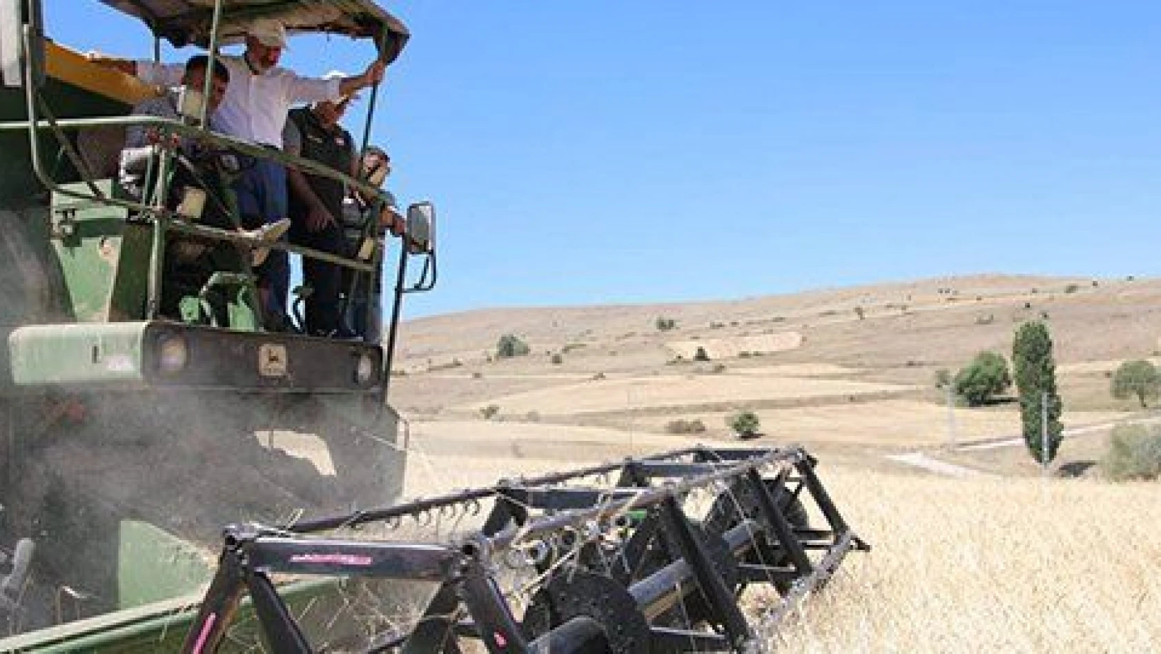 Kocasinan'da geçen yıl çiftçilere dağıtılan gacer buğdayının hasatı yapıldı