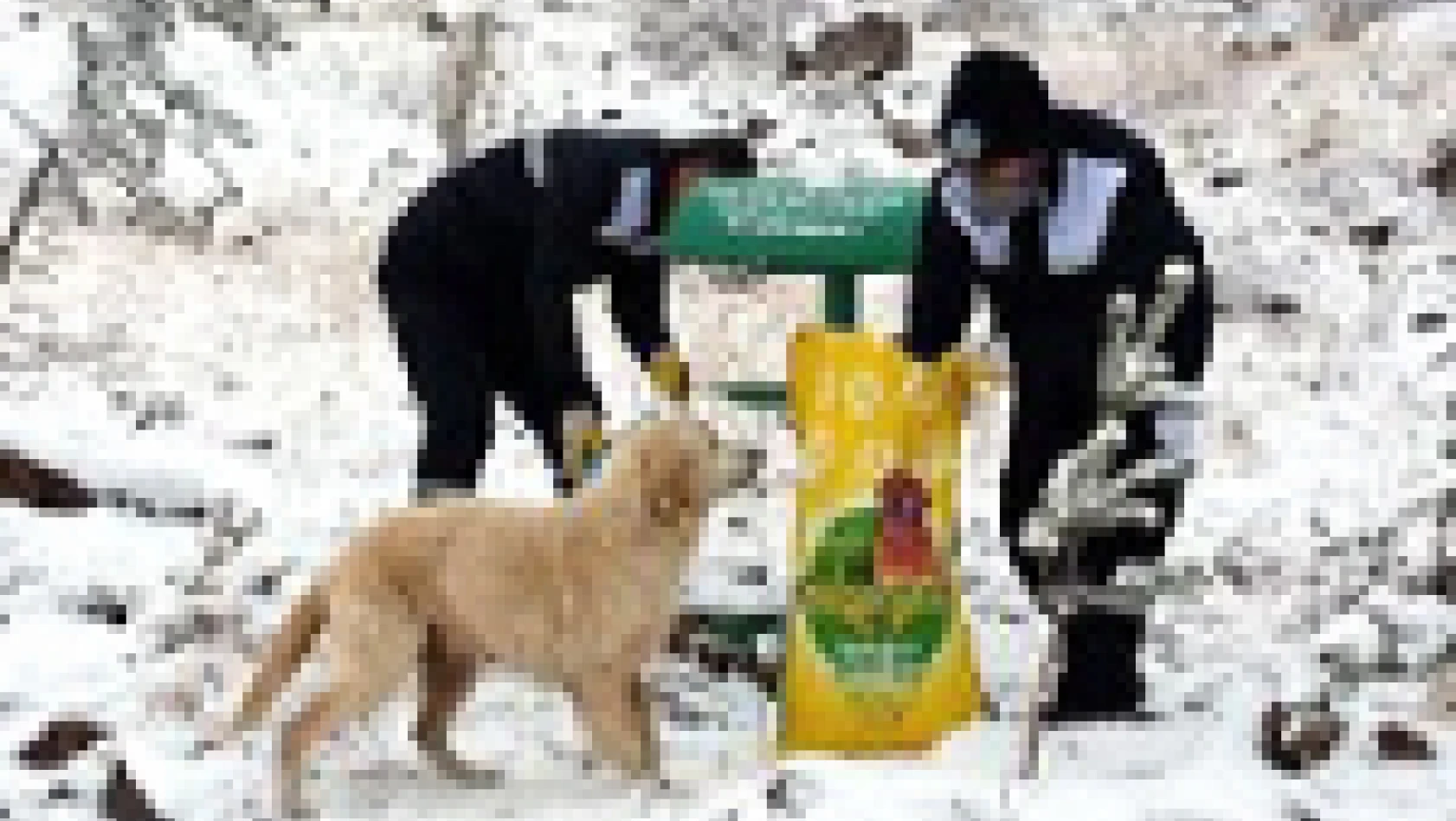 Talas Belediyesi doğada yaşayan hayvanları unutmadı