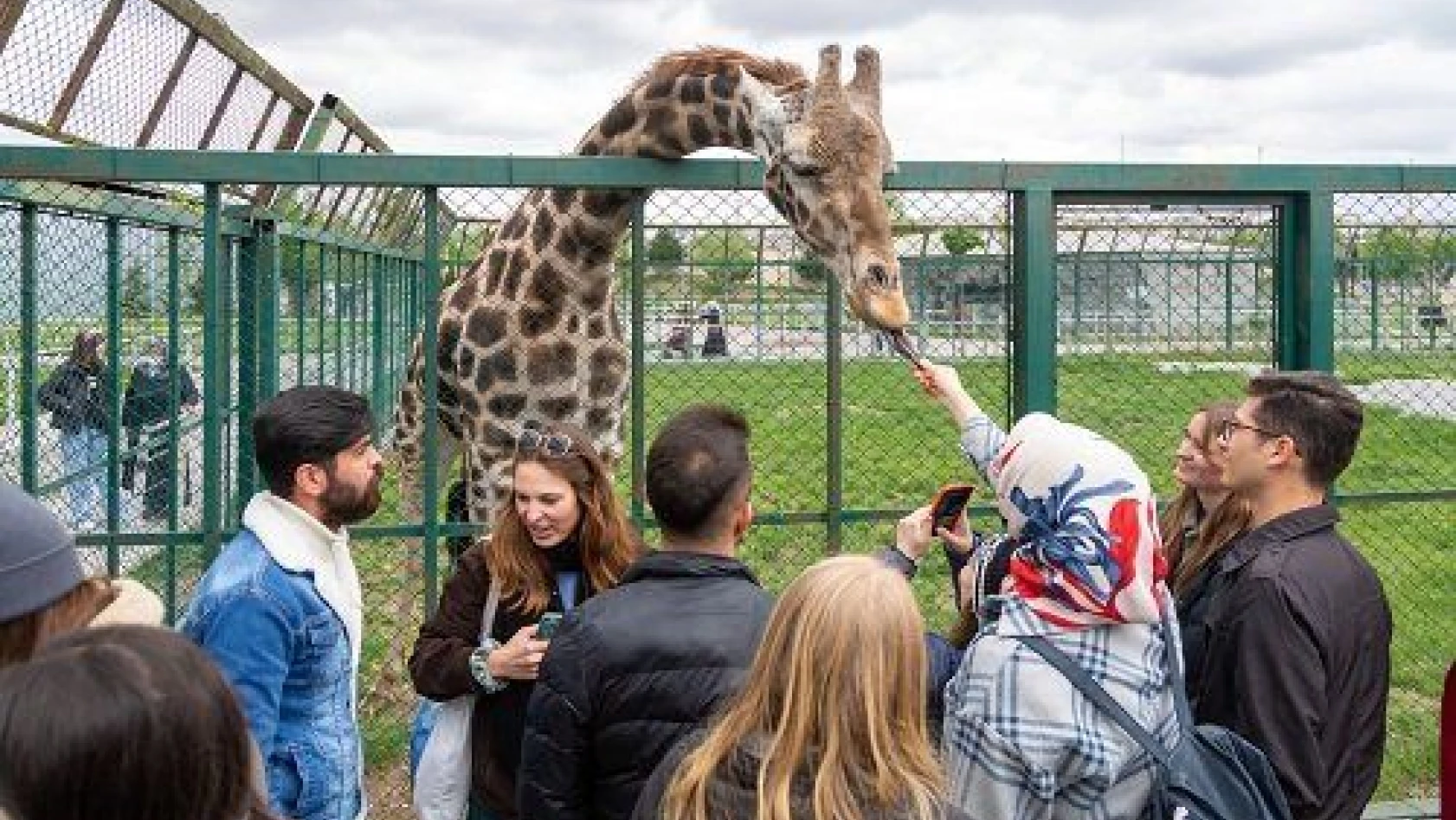 Yabancı öğrenciler hayvanat bahçesine hayran kaldı