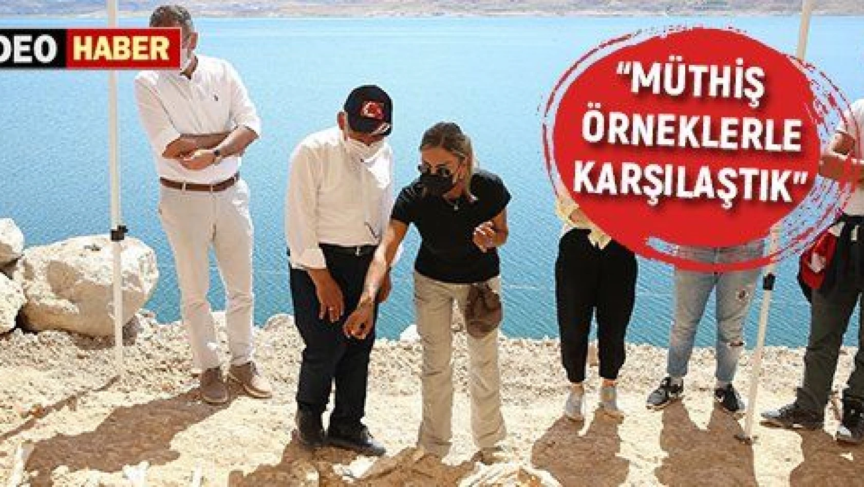 Anadolu 'nun göbeğinde  'fosil ' hazinesi