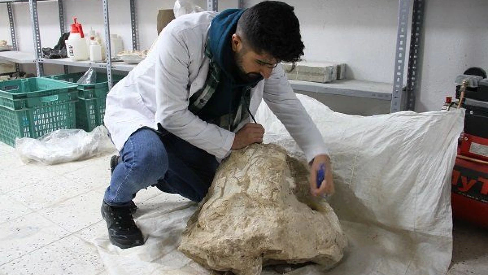 Kayseri'deki fosil kazılarında bütün halinde gergedan kafatası bulundu